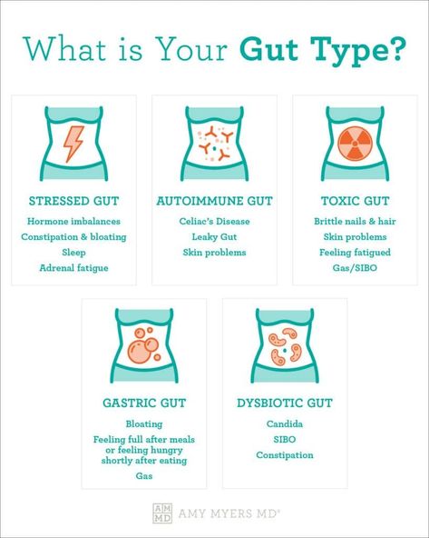 What is Your Gut Biome Personality? Jumpstart Metabolism, Metabolic Conditioning Workout, Health Motivation Quotes, Healing Gut, Gut Biome, Metabolic Workouts, Astrology Signs Dates, Gut Problems, Metabolic Conditioning