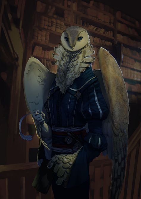 In the library, Vedran Popovic on ArtStation at https://www.artstation.com/artwork/2AWmv Owlin Character Art, Owl Human Hybrid, Owlin Dnd, Owl Person, Monk Dnd, Dnd Inspiration, Bird People, Character Artwork, D D Character Ideas