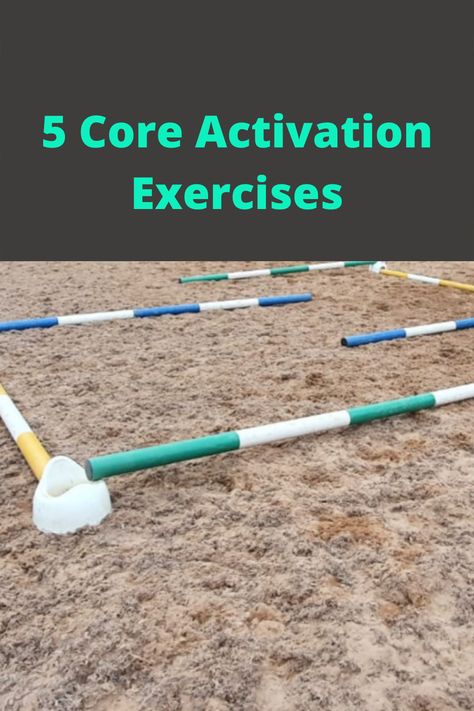 Horse Pole Exercises, Pole Exercises For Horses Training, Pole Exercises For Horses, Pole Work Exercises For Horses, Ground Pole Exercises For Horses, Ground Work For Horses Exercises, Horse Schooling Exercises Fun, Rider Biomechanics, Bonding Exercises With Your Horse