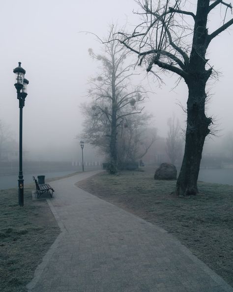 Foggy Playground Aesthetic, Creepy Fog, Park Shoot, 29 February, Monochrome Photo, Park Scene, Higher Art, Bare Trees, Mad Father