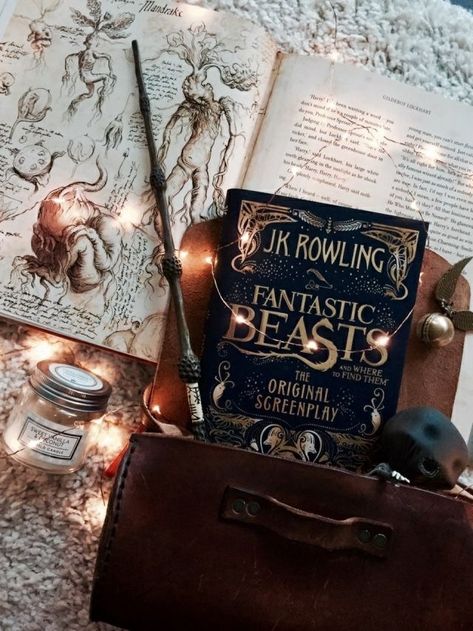 𝒫𝒾𝓃𝓉𝑒𝓇𝑒𝓈𝓉: ℰ𝓃𝒸𝒽𝒶𝓃𝓉𝑒𝒹ℐ𝓃𝒫𝒾𝓃𝓀 Harry Potter Book, Film Netflix, Hogwarts Aesthetic, Golden Trio, Fantastic Beasts And Where, Harry Potter Wallpaper, Albus Dumbledore, Harry Potter Love, Harry Potter Aesthetic