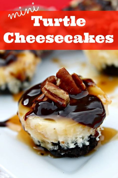 Mini Turtle Cheesecake, Mini Cherry Cheesecakes, Turtle Cheesecake Recipes, Mini Turtle, Turtle Cheesecake, Mini Cheesecake Recipes, Cheesecake Mini, Bite Size Desserts, Mini Cheesecakes