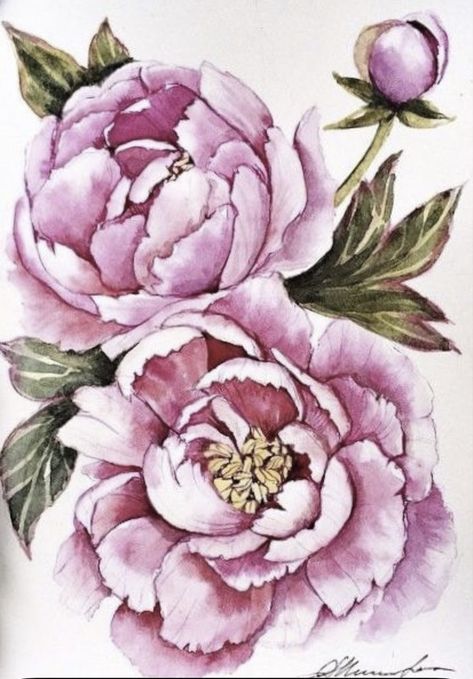 Ako Kresliť, Peony Drawing, Watercolor Flowers Tutorial, Peony Painting, Flower Art Drawing, Watercolor Peonies, Watercolor Flower Art, Cat Air, Watercolor Flowers Paintings