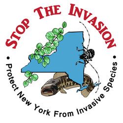 Trillium Invasive Species Management. Professional invasive species removal in New York. This business is located in the mid Hudson Valley region of NY. Invasive Species, Endangered Species, Management Company, Water Crafts, What You Can Do, Ny Times, Garden Inspiration, You Can Do, The Neighbourhood