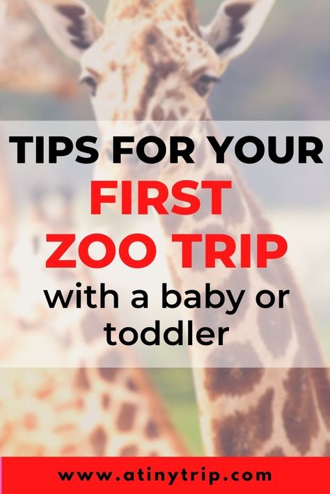 Zoo Trip Snacks, Snacks For Zoo Trip, Zoo Trip Must Haves, Outfit For Zoo Trip Summer, Zoo Visit Outfit, Zoo Day Packing List, Zoo Trip Essentials, Zoo Mom Outfit, Zoo Trip Packing List