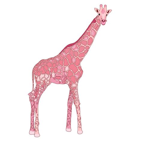 Touchy Giraffe - Pink Giraffe Mural, Cute Backrounds, Tatoos Small, Fall Coloring, Pink Giraffe, Pink Wallpaper Backgrounds, Fall Coloring Pages, Pink Ceramic, Painted Pots