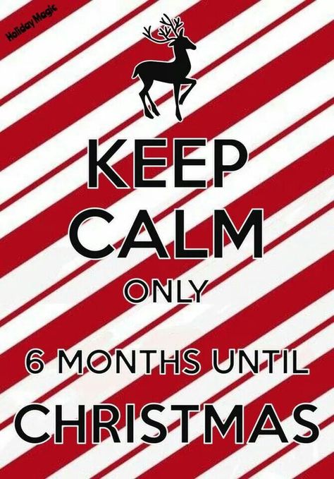 6 Months Until Christmas 6 Months Till Christmas, Countdown Till Christmas, Half Christmas, Christmas Memes Funny, Christmas Music Box, Baby Christmas Ornaments, Baby Christmas Photos, Christmas Memes, Merry Christmas Eve