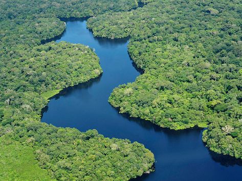 Como montar uma maquete de bioma da Floresta Amazônica Amazon Forest, Amazon River, America Latina, Amazon Rainforest, Machu Picchu, Aerial Photography, The Amazon, Unesco World Heritage, Unesco World Heritage Site