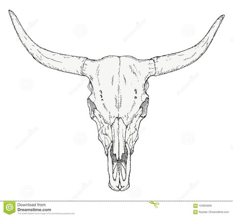 Longhorn Skull Drawing, Longhorn Tattoo, Cow Skull Tattoos, Bull Skull Tattoos, Skull Coloring, Long Horns, Native Tattoos, Skull Coloring Pages, Single Needle Tattoo