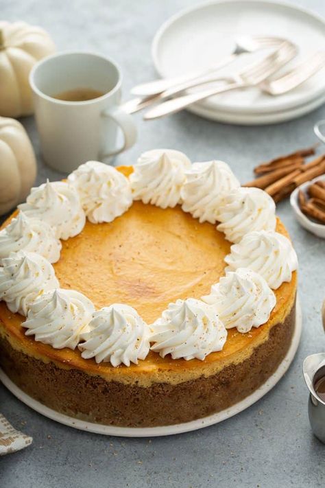 Classic Pumpkin Cheesecake | My Baking Addiction Best Pumpkin Cheesecake Recipe, Dessert Fall, Recipe Cheesecake, Dump Cake Pumpkin, Pumpkin Cheesecake Recipes, Pumpkin Pudding, Cheesecake Dessert, Pumpkin Pie Recipes, Pumpkin Flavor