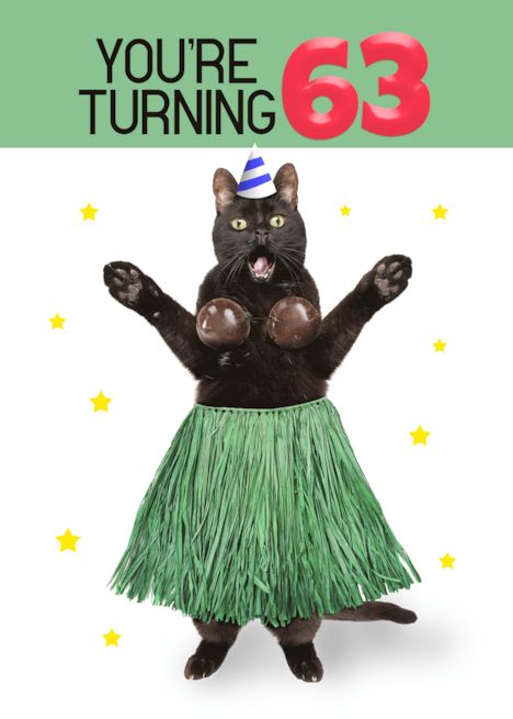 Happy 63rd Birthday Funny Cat in Hula Outfit Humor card Happy 21st Birthday Funny, Hula Outfit, Happy 96th Birthday, Happy 98th Birthday, Happy 89th Birthday, Happy 76th Birthday, Happy 69th Birthday, Happy 42nd Birthday, Happy 41st Birthday