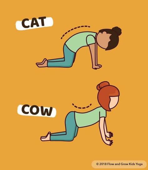 Cat Cow Yoga Pose, Cat And Cow, Yoga Lesson Plans, Cat Cow Pose, Different Types Of Yoga, Kids Yoga Poses, Yoga Cards, Cow Pose, Yoga Lessons