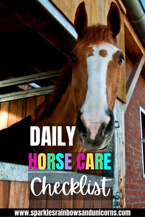 Use this daily horse care checklist to make caring for your horse easier. Get done with chores faster, and don't forget a thing. This is a complete list of what you want to do everyday for your horses. You can sign up for my Free Resource Library and find the Printable Daily Horse Care Checklist. #horsecare #dailyhorsecare #owningahorse #horseownership #horsemanagement #caringforhorses #takingcareofahorse Horses Foals, Horse Ownership, Horse Bedding, Horse Information, Healthy Horses, Horse Care Tips, Horse Facts, Horse Info, Horse Riding Tips