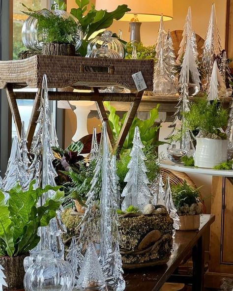 Simon Pierce Christmas Trees, Simon Pearce Christmas Trees, Crystal Forest, Simon Pearce, Winter Is Coming, Tis The Season, Winter Decor, Holiday Ideas, Christmas Trees