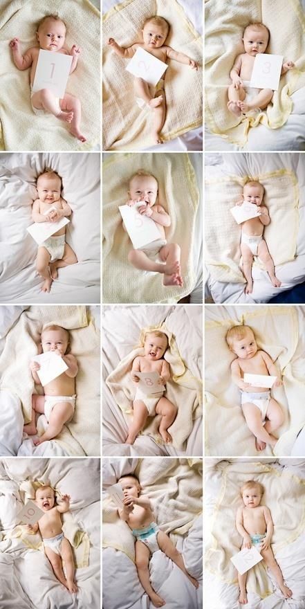 Photo Bb, Baby Fotografie, Monthly Baby Photos, Monthly Photos, Foto Baby, Baby Diy, Babies First Year, Baby Time, Everything Baby