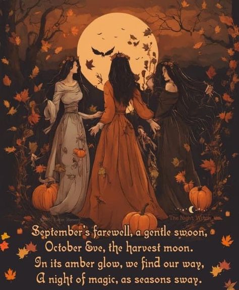 Night Witches, Autumn Witch, Halloween Eve, Source Energy, Autumn Magic, A Discovery Of Witches, Modern Witch, Season Of The Witch, Witch Art