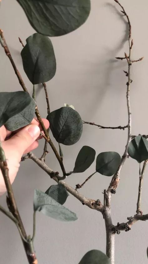 How to make a DIY Faux Eucalyptus Tree | Hometalk Faux Eucalyptus Tree, Faux Tree Branches, Faux Olive Trees, Easter Topiary, Diy Eucalyptus, Rainbow Eucalyptus Tree, Faux Trees, Rainbow Eucalyptus, Tree Branch Decor