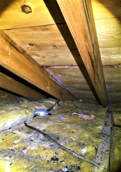 Left ignored, a moldy attic can result in a breakdown of your roof’s structural components and attic sheathing. Here are four common reasons attic mold growth occurs. Attic Flooring Diy, Insulating Attic, Attic Door Insulation, House Attic, Concrete Block Foundation, Old Attic, Attic Truss, Block Foundation, Diy Insulation