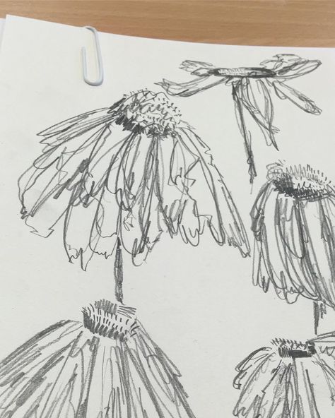 iss🌟 on Instagram: flowers in sandford park🌸💐 pencil  drawing scribble abstract flowers art alevel a level textiles art Scribble Art Flowers, Scribble Journal, Flower Scribble, Scribbling Art, Scribble Flowers, Drawing Scribble, Scribble Sketch, Alevel Art, Fast Drawing