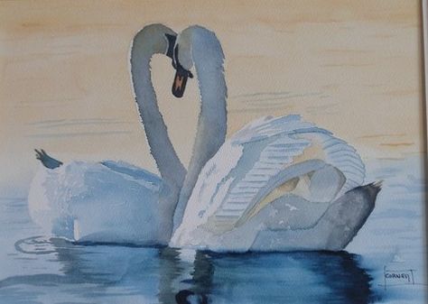 evening swans.   Tom Cornell Watercolor Swans Art, Watercolor Books, Wildlife Prints, Classic Paintings, Watercolor Bird, Swans, Nature Prints, Original Watercolor Painting, Watercolor Print