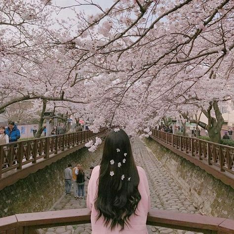 cherry blossoms Cherry Blossom Pictures, Old Dress, Trendy Flowers, Korean Aesthetic, Tumblr Photography, Uzzlang Girl, Trik Fotografi, Jolie Photo, Foto Inspiration