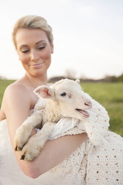 Sheep Wedding, Farm Wedding Ideas, Farm Sheep, Rustic Farm Wedding, Baby Lamb, Wedding Pets, Shabby Chic Wedding, Wedding Chicks, Wedding Engagement Photos