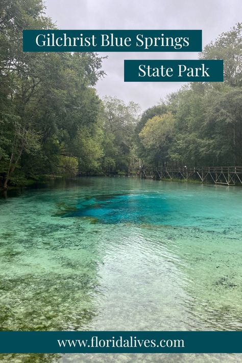 Gilchrist Blue Springs State Park, Blue Spring State Park Florida, Blue Springs State Park, Florida Parks, Florida Camping, Florida Springs, Florida State Parks, Popular Travel Destinations, Places In Florida