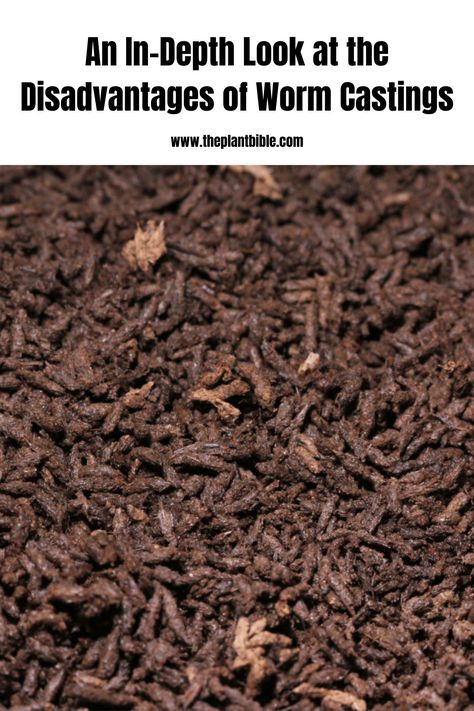 An In-Depth Look at the Disadvantages of Worm Castings Worm Castings Tea, Worm Castings, Crab Shells, Worm Composting, Worm Farm, Composting, Hydroponics, Healthy Meals, Look At