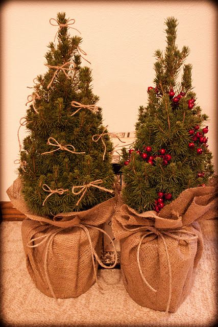 Burlap Christmas Tree, Tree Inspiration, Christmas Pots, Christmas Planters, Christmas Plants, Country Christmas Decorations, Burlap Crafts, Burlap Christmas, Mini Christmas Tree