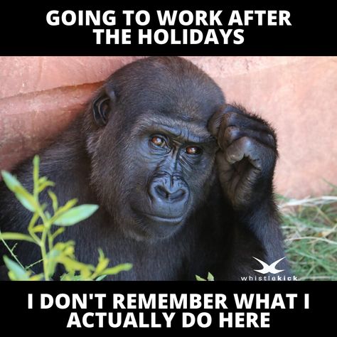 Work After Holiday Humor, Back To Work Humour, Holiday Quotes Funny, Martial Arts Humor, Holiday Meme, Relationship Ocd, Going Back To Work, Google Advertising, Job Humor