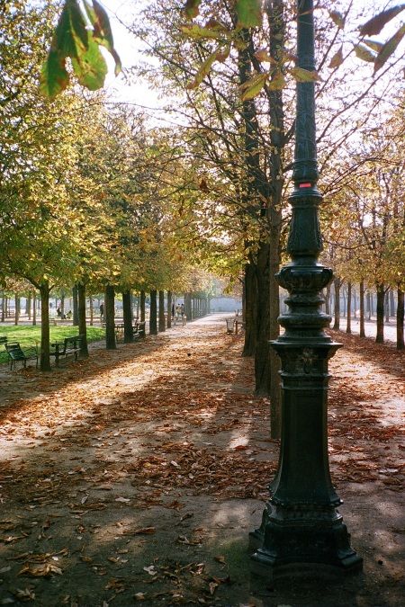 The Blue Hour, Blue Hour, The Light, Lamp Post, Sketch Book, Favorite Places, Trees, Paris, Lighting