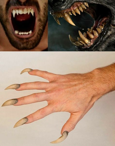 Wolfman Art, Werewolf Cosplay, Werewolf Teeth, Werewolf Fangs, Werewolf Transformation, Wolf Makeup, Teenage Halloween Costumes, Werewolf Costume, Beast Creature