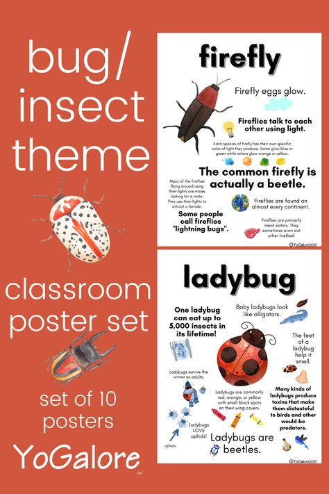 Our new Bug/Insect Fact Posters may just be my new favorite product! Beautiful clipart matched with cool facts about bugs and insects. Insect Facts For Preschool, Facts About Insects, List Of Insects, Insects For Kids, Easy Bulletin Boards, Eric Carle Activities, Butterfly Facts, Nature Camp, Cousin Camp