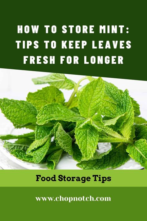 Mint is a delicious herb and there are plenty of ways to use it. But Do You Know How To Store Mint? Here Are The Best Tips To Keep Leaves Fresh For Longer! #Mint #MintStorage #FoodStorage #HerbsStorage How To Store Mint Leaves In Fridge, Fast Easy Desserts, Quick Weeknight Dinners, Recipe Board, Recipe Boards, How To Store, Quick Desserts, Cook At Home, Kitchen Tips