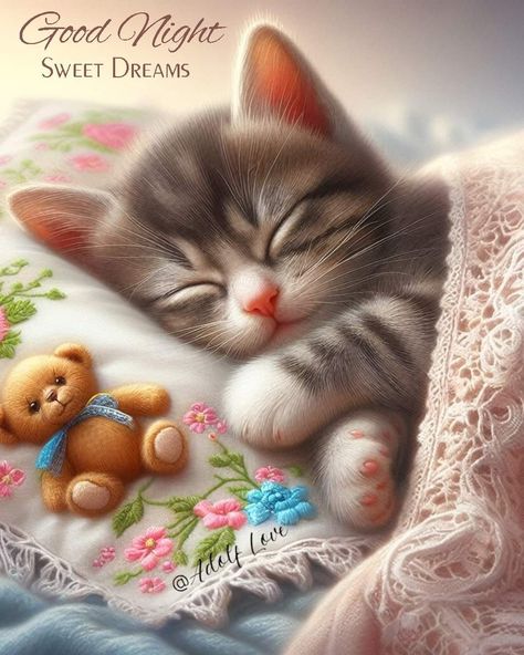 Cute Good Morning Pictures, Sweet Dreams Pictures, Fantasy Friends, Good Night Cat, Good Night Prayer Quotes, Good Night Funny, Good Morning Funny Pictures, Dream's Cat, Cute Good Night