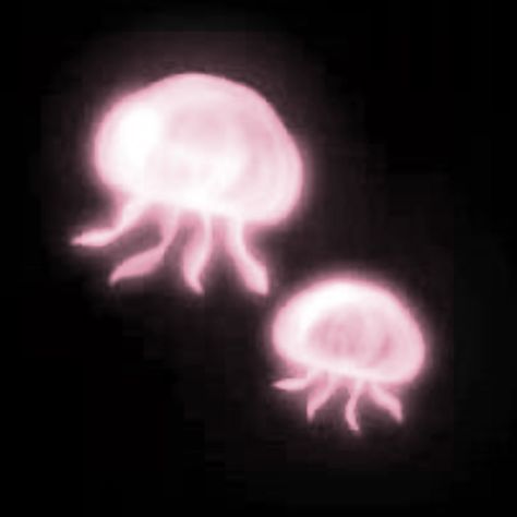 Cute Backgrounds Black, Iphone Wallpaper Aesthetic Dark, Black Jellyfish, Ig Icons Highlights Aesthetic, Wallpaper Aesthetic Dark, Pink And Black Wallpaper, Backgrounds Black, Pink Jellyfish, Iphone Wallpaper Aesthetic