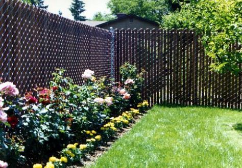 What To Do With A Chain Link Fence - A Storied Style Chain Link Fence Cover, Chain Link Fence Privacy, Black Chain Link Fence, Cyclone Fence, Chain Fence, Cheap Fence, Privacy Fence Designs, Garden Ideas Cheap, Backyard Privacy