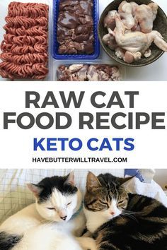 Homemade Raw Cat Food, Raw Cat Food Diet, Cat Food Recipe, Raw Cat Food, Diy Cat Food, Healthy Cat Food, Raw Cat Food Recipes, Homemade Cat Food, Best Cat Food