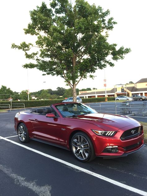 Red Convertible Mustang, Red Convertible Car, Fort Mustang, Red Ford Mustang, G37 Convertible, Mustang Red, Mustang Gt Convertible, Terry Thomas, 2015 Mustang Gt