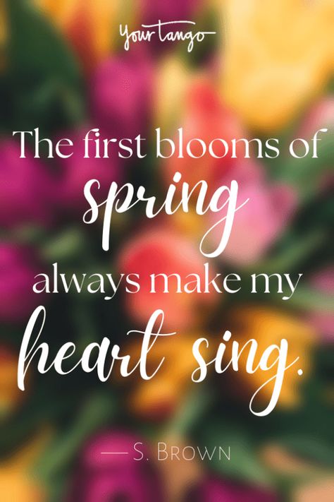 first day of spring quotes Spring Is My Favorite Season, Spring Is Coming Quotes, Spring Day Quotes, Spring Time Quotes, First Day Of Spring Quotes, Spring Quotes Inspirational, Happy Spring Quotes, Spring Humor, Famous Philosophy Quotes