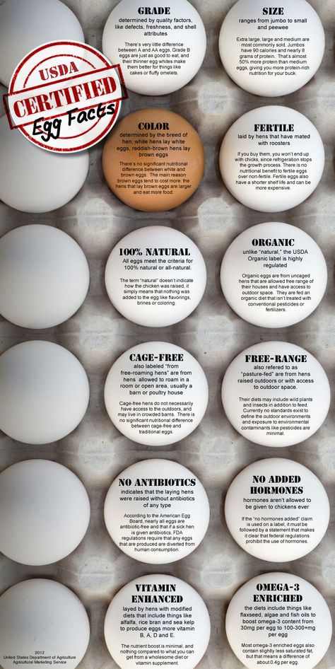 Egg Facts, Cage Free Eggs, Family And Consumer Science, Agriculture Education, Food Label, Food Science, Egg Carton, Food Facts, Unhealthy Food