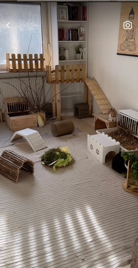 Rabbit Living Room, Bunny Play Area, Bunny Set Up, Rabbit Enclosure Indoor, Rabbit Room Ideas Indoor, Bunny Play Pen, Bunny Room Ideas, Free Roam Bunny Set Up, Indoor Bunny House