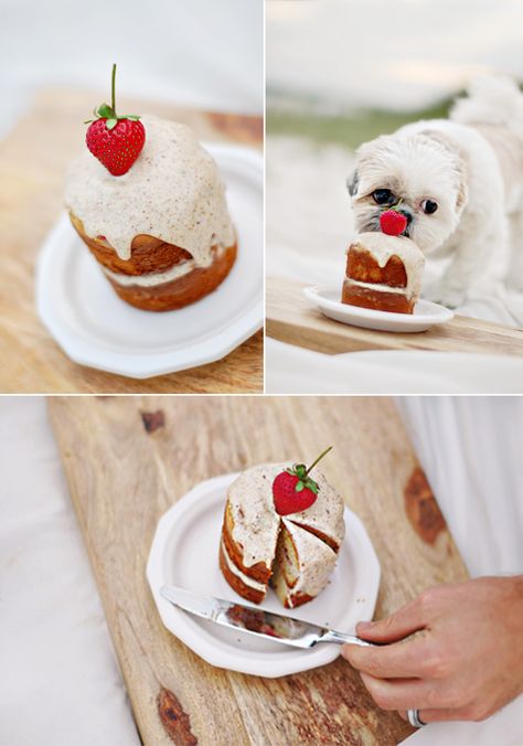 Pretty Fluffy Dog Birthday Cake Recipe, Dog Cake Recipes, Cake Dog, Dog Birthday Cake, Dog Bakery, Puppy Treats, Dog Cakes, Birthday Cake Recipe, Dog Cake