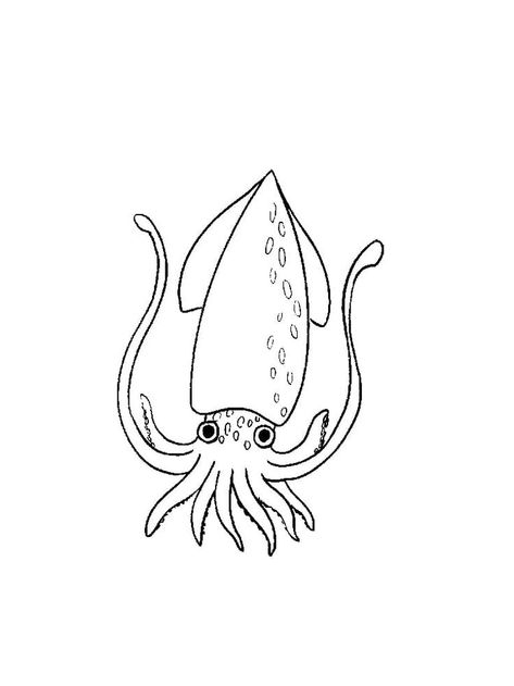 Squid Cute Printable Squid Coloring Page, Squid Drawing Simple, Squid Doodle, Sourdough Art, Coloring Pictures Of Animals, Squid Drawing, Cute Squid, Emoji Tattoo, Squid Tattoo