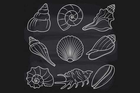 Chalkboard Seashells by LoveGraphicDesign on Creative Market Doodle Ocean, Chalkboards Ideas, Beach Clip Art, Summer Chalkboard, Chalkboard Clipart, Blackboard Art, Beach Clipart, Chalk Wall, Ocean Underwater