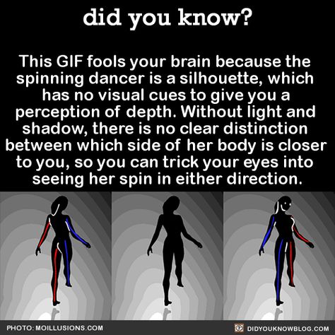 silhouette illusion Eye Tricks, Cool Illusions, Funny Mind Tricks, Cool Optical Illusions, Brain Tricks, Mind Tricks, 웃긴 사진, The More You Know, Optical Illusion