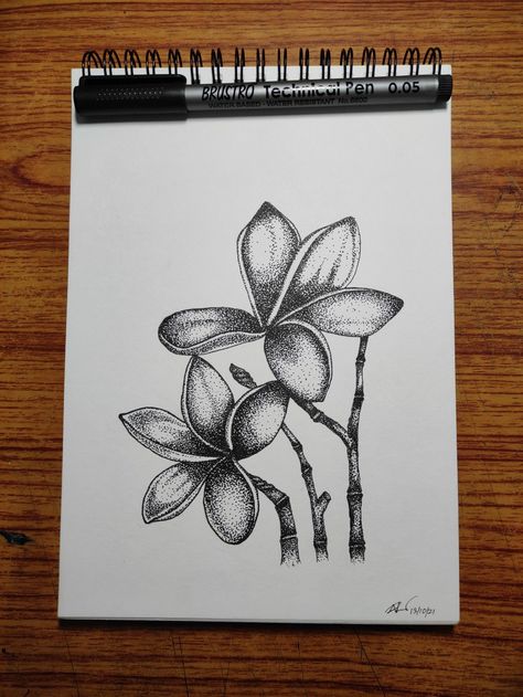 Stippling art of flower using brustro technical pens. #penart #stippling #artideas #sketch #plumeria #pointillism Pen Dot Art, Stippling Art Ideas, Dotted Drawings, Technical Pen, Stippling Art, Space Drawings, Plumeria Flowers, Flower Art Drawing, Object Drawing