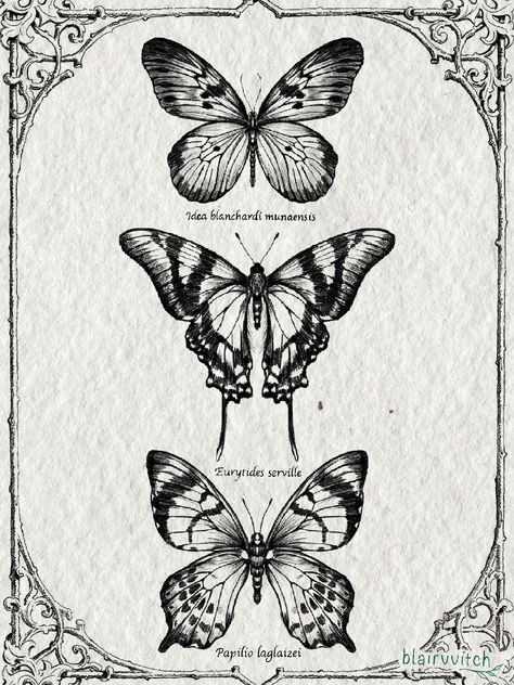 Butterfly Tattoos Images, Harry Tattoos, Butterfly Sketch, Flying Tattoo, Insect Tattoo, Wings Drawing, Discreet Tattoos, Tattoo Art Drawings, Subtle Tattoos