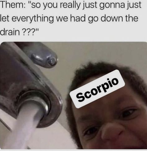 Scorpio Meme, Koala Funny, Scorpio Funny, Scorpion Facts, Truth Questions, Zodiac Quotes Scorpio, Funny Koala, Libra Sagittarius, Astrology Reading