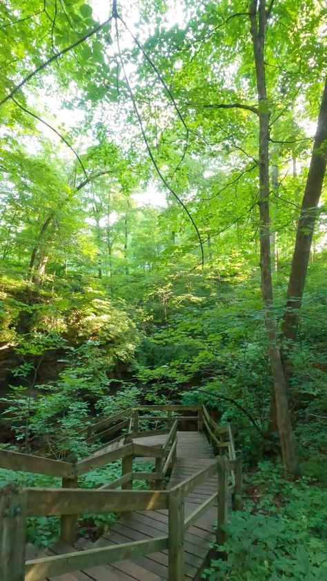 Experience unexpected landscapes and gorgeous fall colors at Maquoketa Caves State Park in Iowa. Iowa Travel, Limestone Caves, Yellow River, Harpers Ferry, Jackson County, Scenic Byway, Amazing Adventures, Hiking Trails, State Park